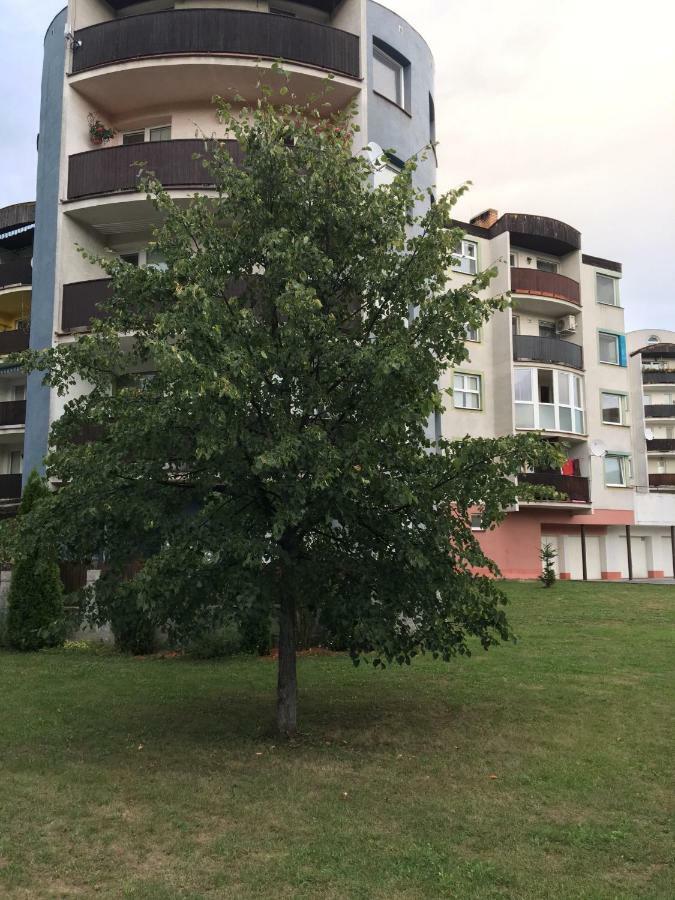 Apartment Tekelova 95M2 เปรเชา ภายนอก รูปภาพ